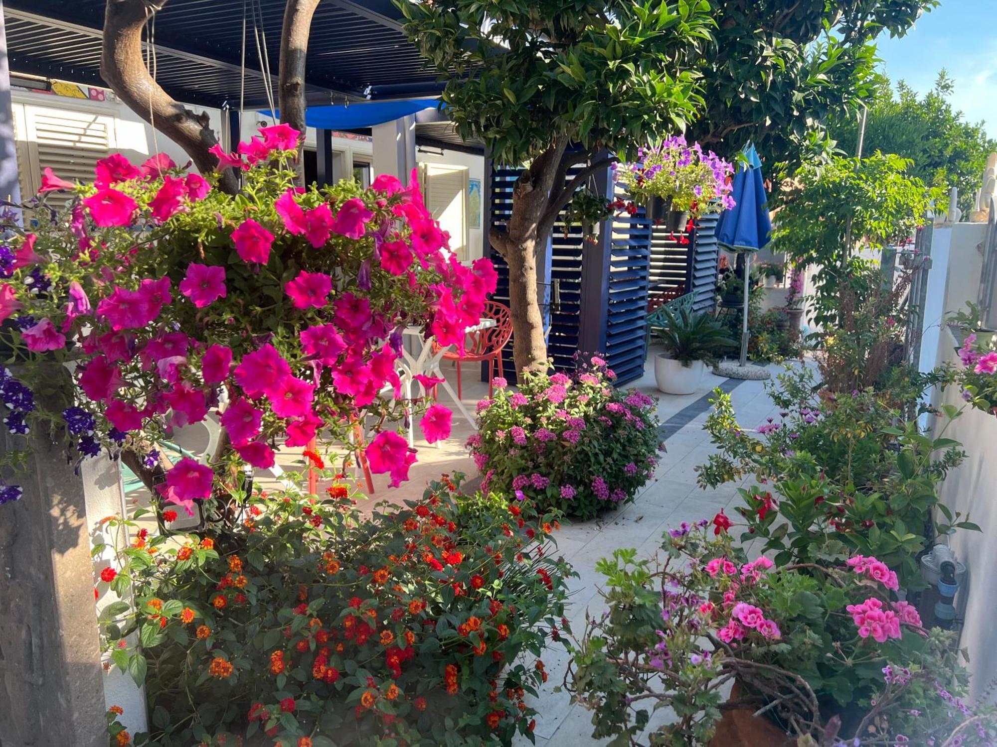 Hotel Wonderland à San Teodoro  Extérieur photo